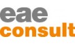 ЕАЕ-Консалт